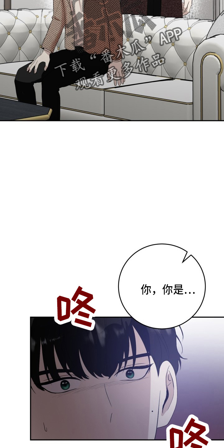 《标记阿尔法》漫画最新章节第41章：私生子免费下拉式在线观看章节第【4】张图片