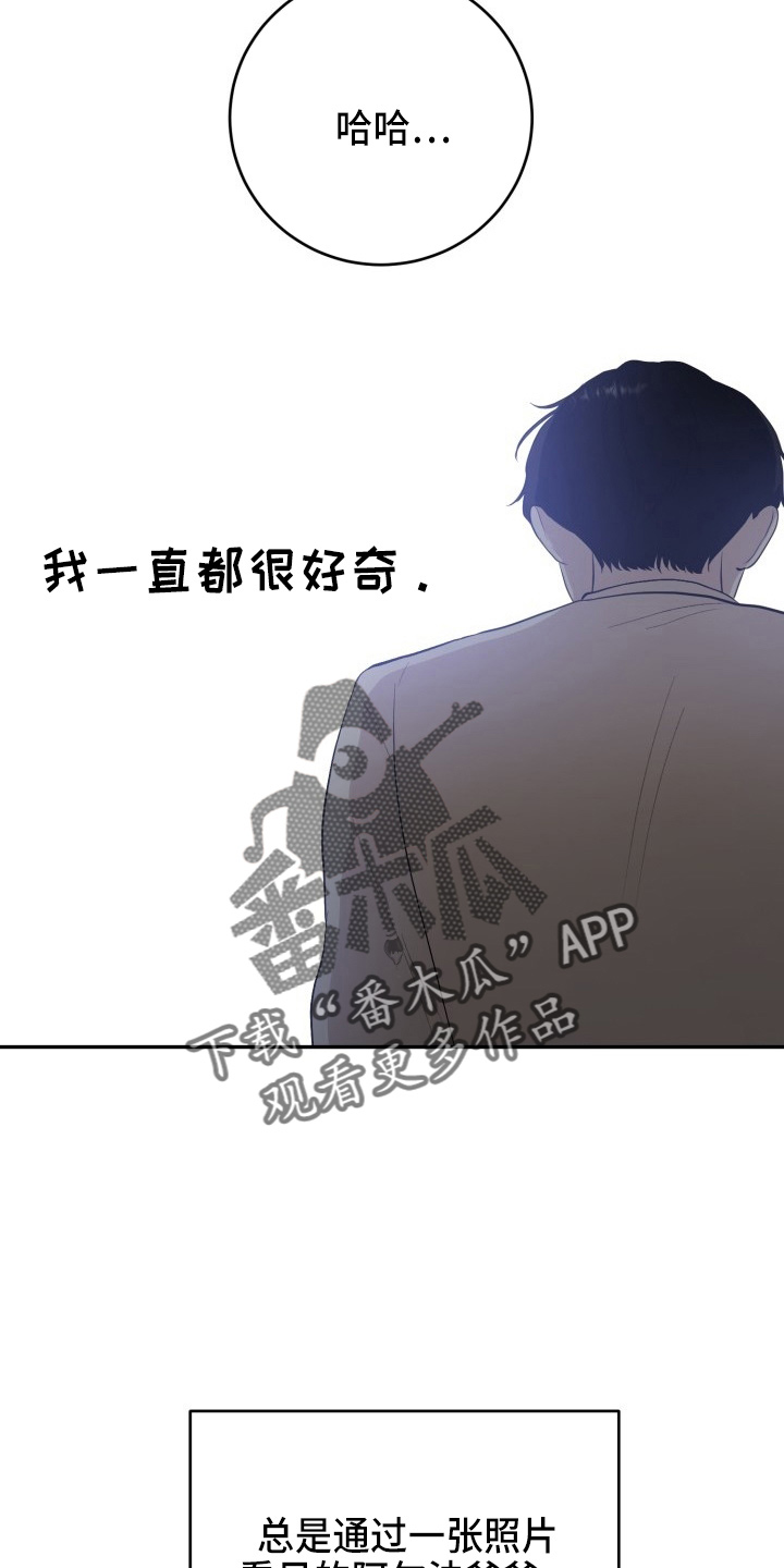 《标记阿尔法》漫画最新章节第41章：私生子免费下拉式在线观看章节第【12】张图片