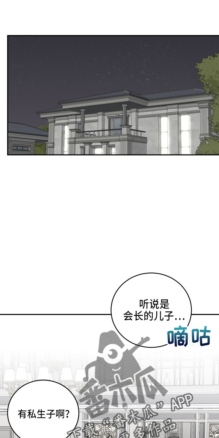 《标记阿尔法》漫画最新章节第41章：私生子免费下拉式在线观看章节第【8】张图片