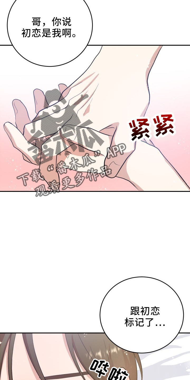 《标记阿尔法》漫画最新章节第46章：喜欢你免费下拉式在线观看章节第【15】张图片