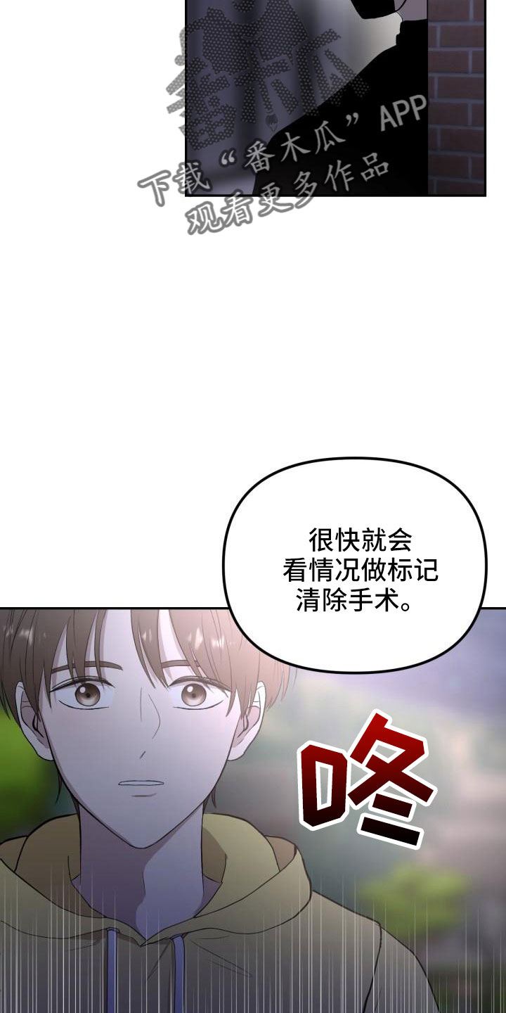 《标记阿尔法》漫画最新章节第51章：等我免费下拉式在线观看章节第【13】张图片