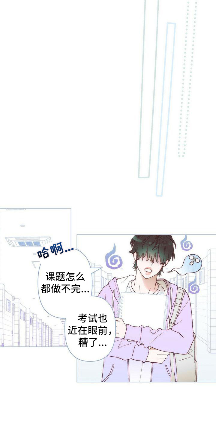 《粉丝书信》漫画最新章节第1章：计划免费下拉式在线观看章节第【7】张图片