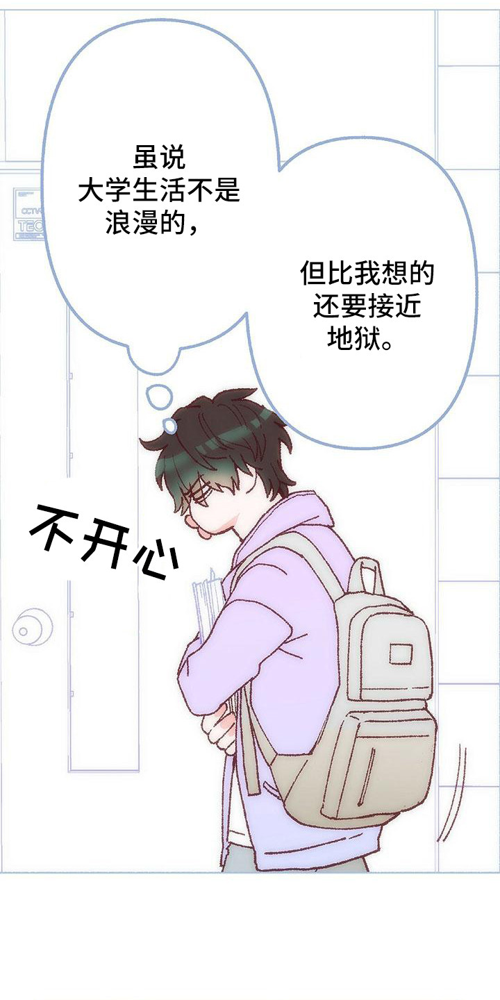 《粉丝书信》漫画最新章节第1章：计划免费下拉式在线观看章节第【6】张图片