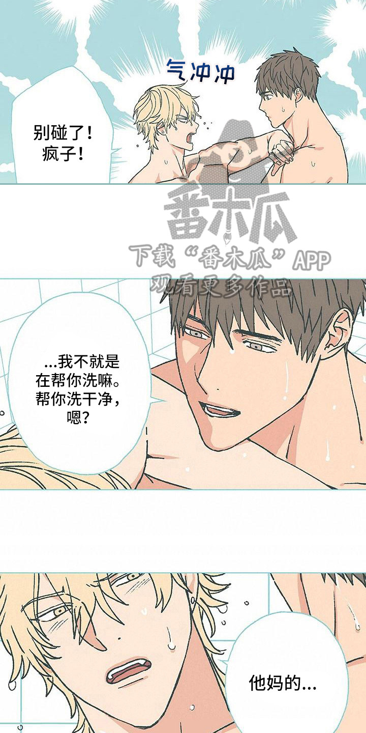 《粉丝书信》漫画最新章节第13章：弄干净免费下拉式在线观看章节第【15】张图片