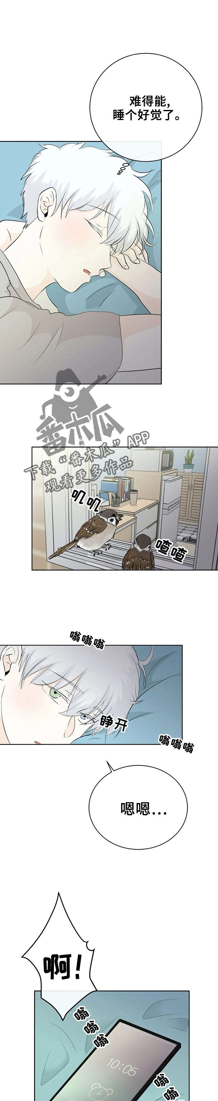 《贴身使者》漫画最新章节第5章：好漂亮免费下拉式在线观看章节第【6】张图片