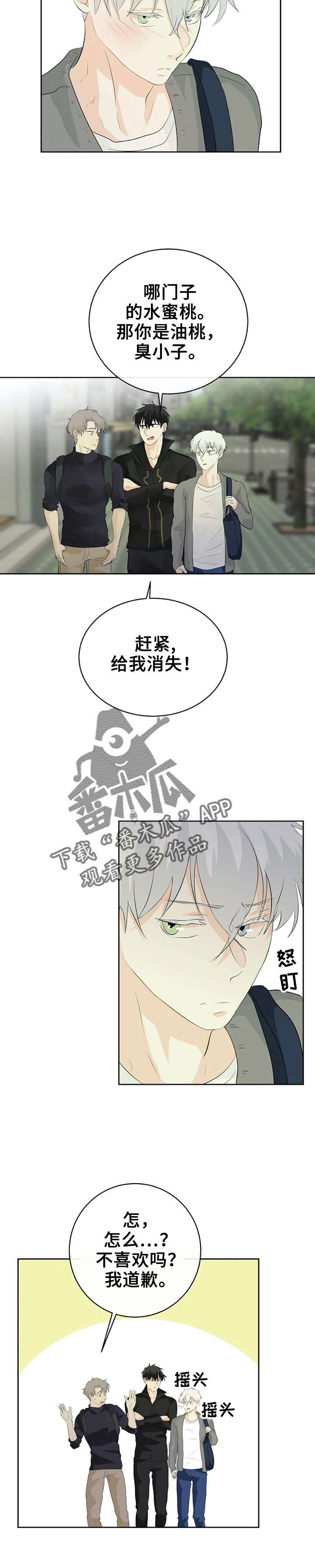 《贴身使者》漫画最新章节第13章：又被无视免费下拉式在线观看章节第【4】张图片