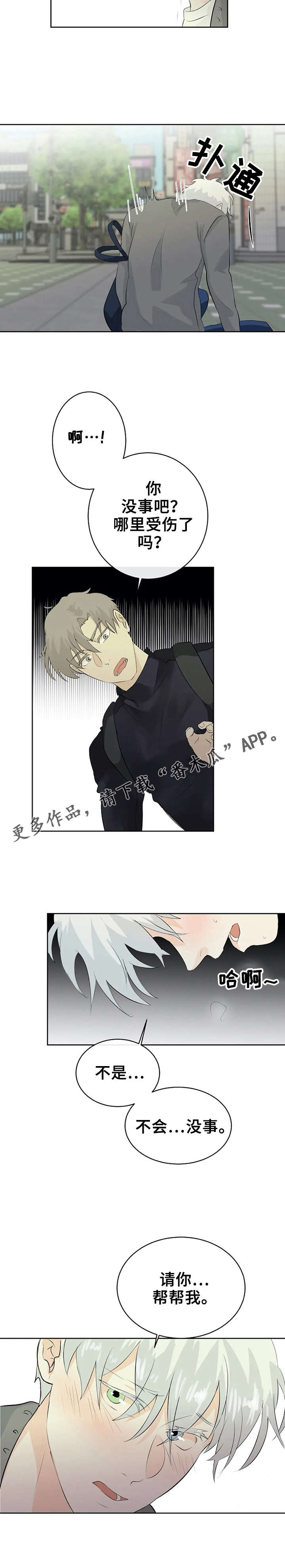 《贴身使者》漫画最新章节第13章：又被无视免费下拉式在线观看章节第【1】张图片