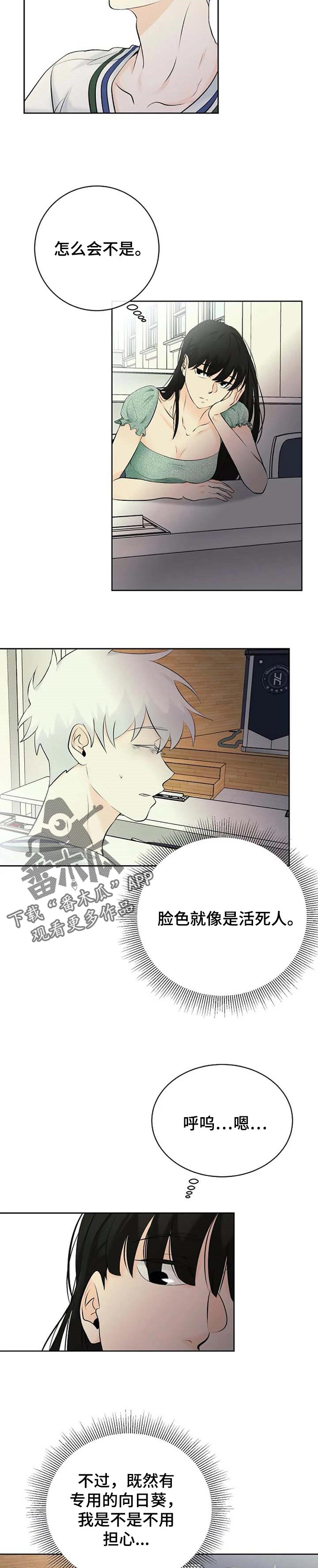 《贴身使者》漫画最新章节第33章：晕倒免费下拉式在线观看章节第【3】张图片