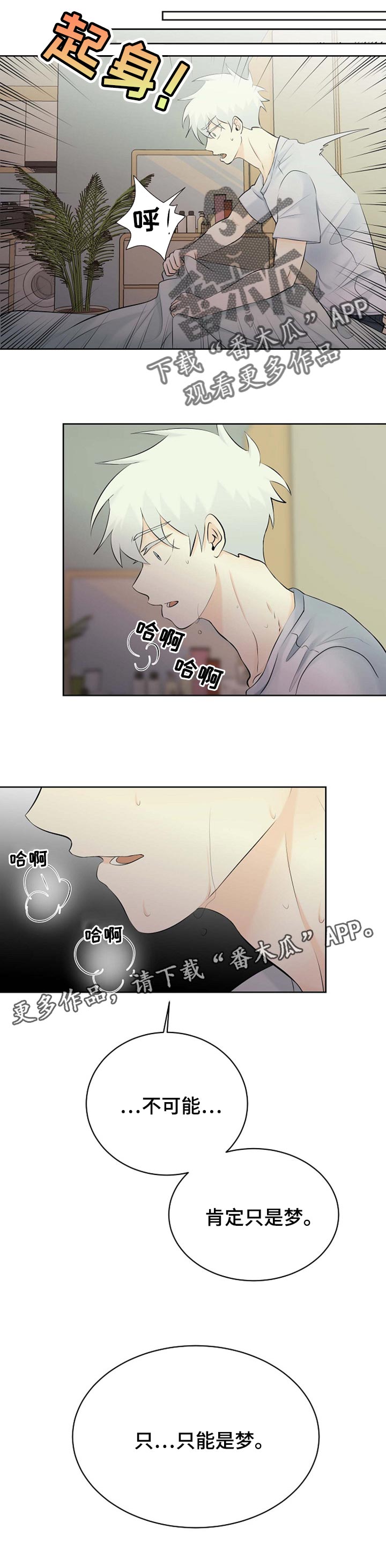 《贴身使者》漫画最新章节第36章：只是梦免费下拉式在线观看章节第【1】张图片