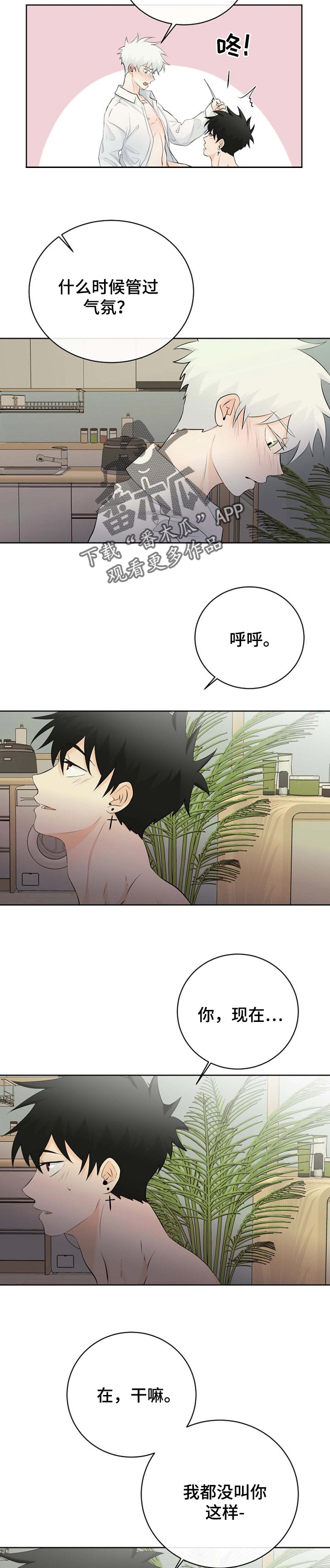 《贴身使者》漫画最新章节第39章：气氛免费下拉式在线观看章节第【2】张图片