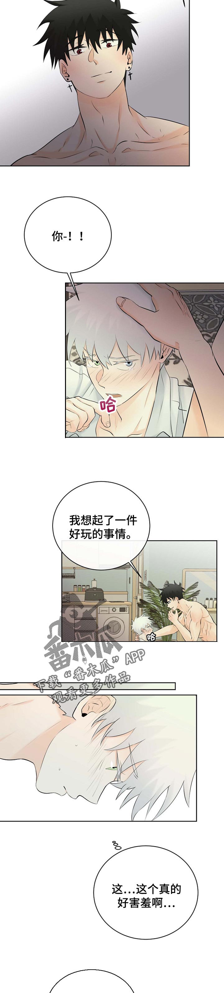 《贴身使者》漫画最新章节第40章：双赢免费下拉式在线观看章节第【5】张图片