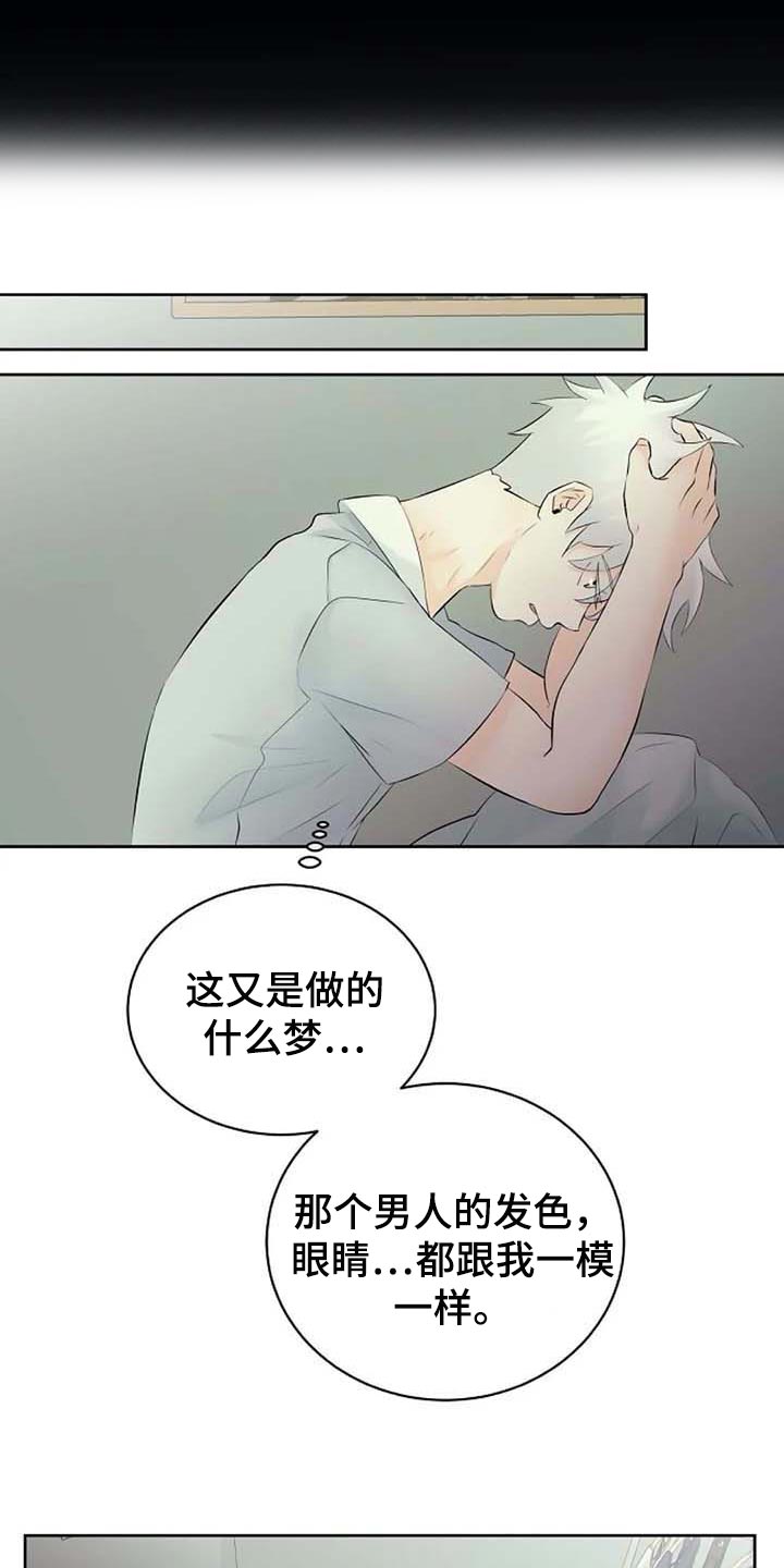 《贴身使者》漫画最新章节第47章：特点符合免费下拉式在线观看章节第【15】张图片