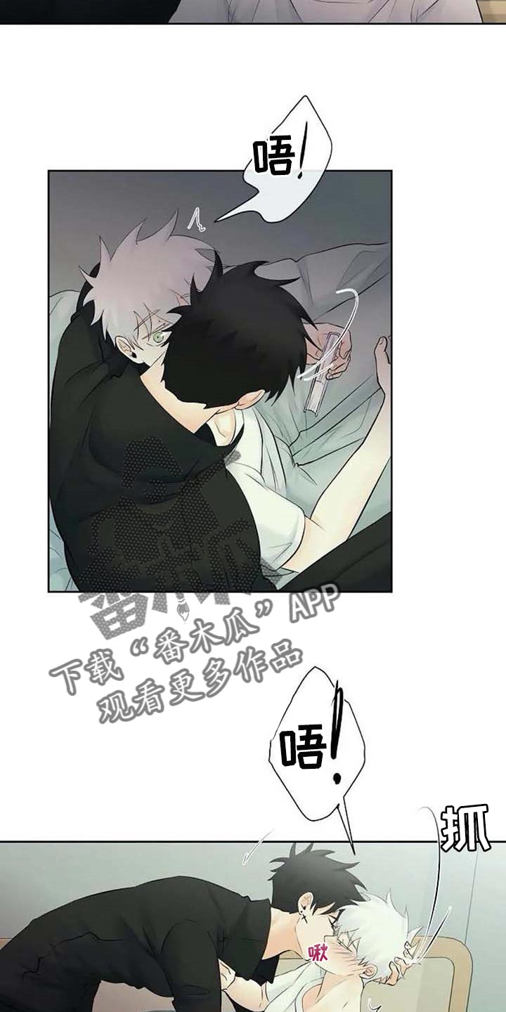 《贴身使者》漫画最新章节第49章：存在的理由免费下拉式在线观看章节第【5】张图片