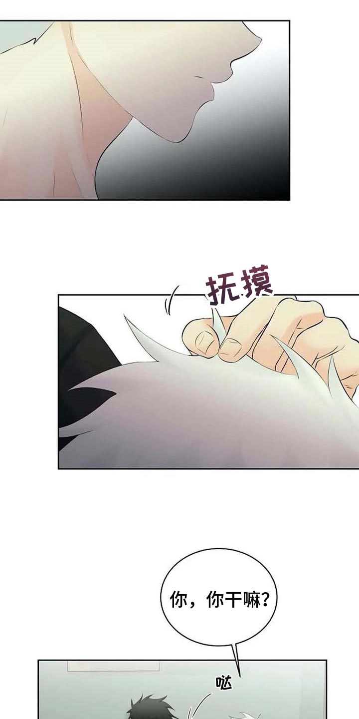 《贴身使者》漫画最新章节第49章：存在的理由免费下拉式在线观看章节第【8】张图片