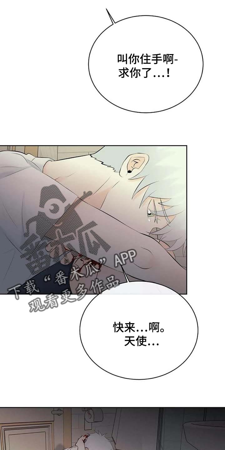 《贴身使者》漫画最新章节第52章：受伤免费下拉式在线观看章节第【15】张图片