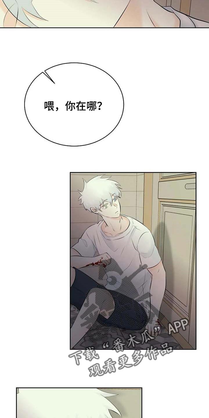 《贴身使者》漫画最新章节第52章：受伤免费下拉式在线观看章节第【13】张图片