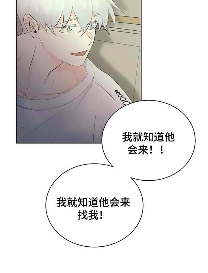 《贴身使者》漫画最新章节第52章：受伤免费下拉式在线观看章节第【12】张图片