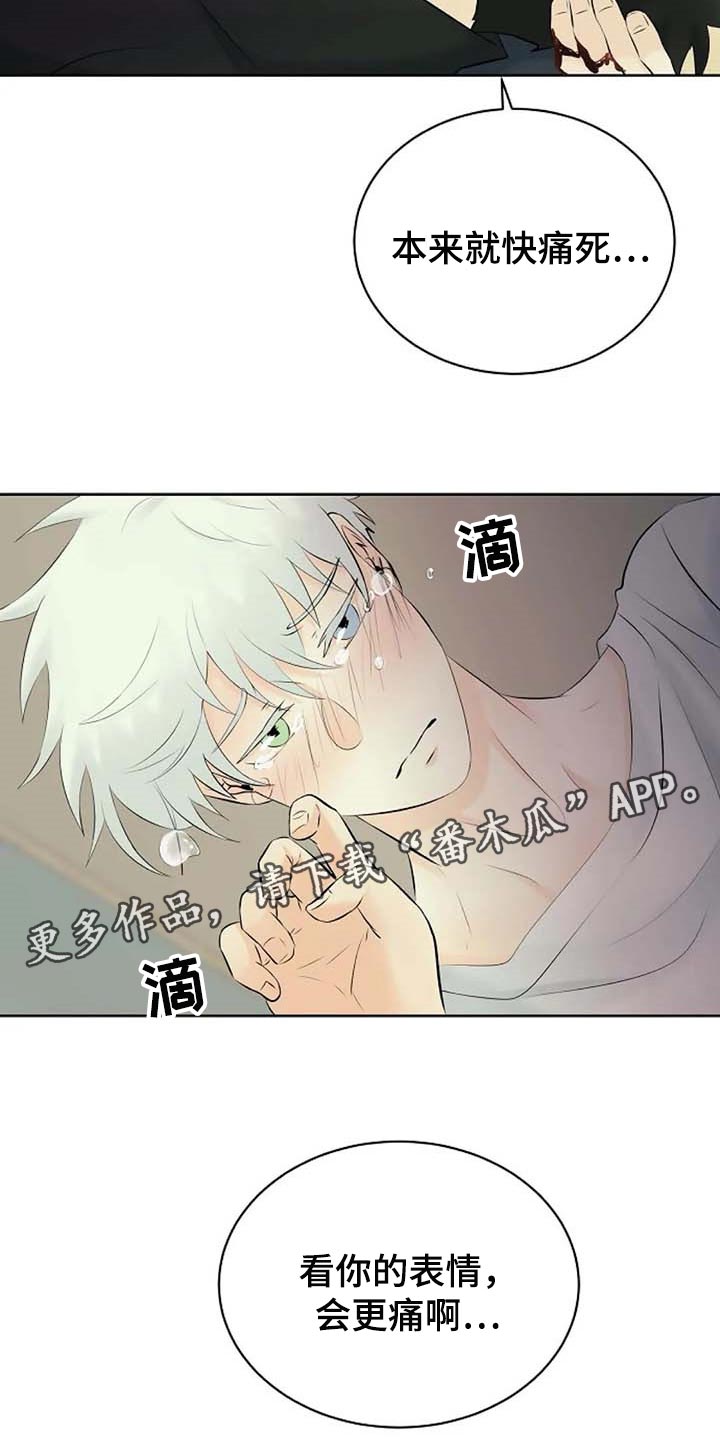 《贴身使者》漫画最新章节第52章：受伤免费下拉式在线观看章节第【2】张图片