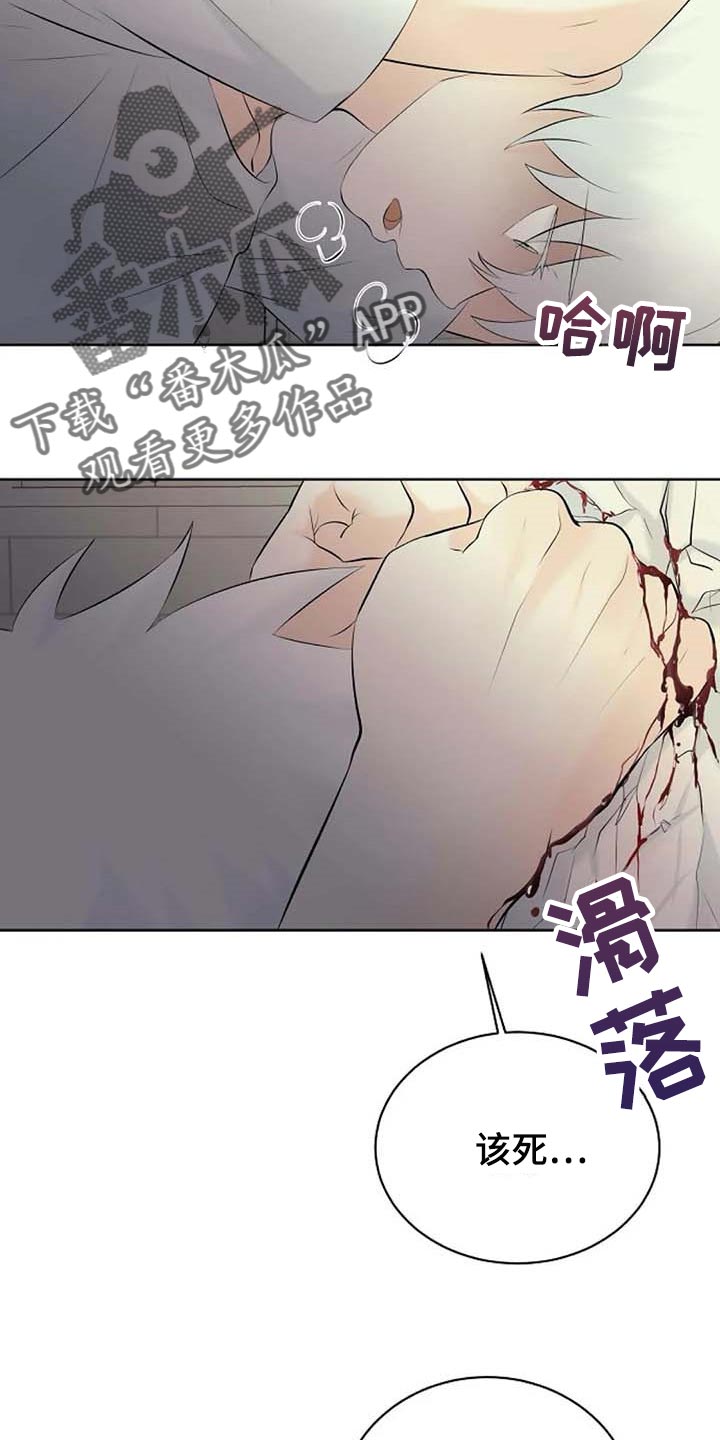 《贴身使者》漫画最新章节第52章：受伤免费下拉式在线观看章节第【17】张图片