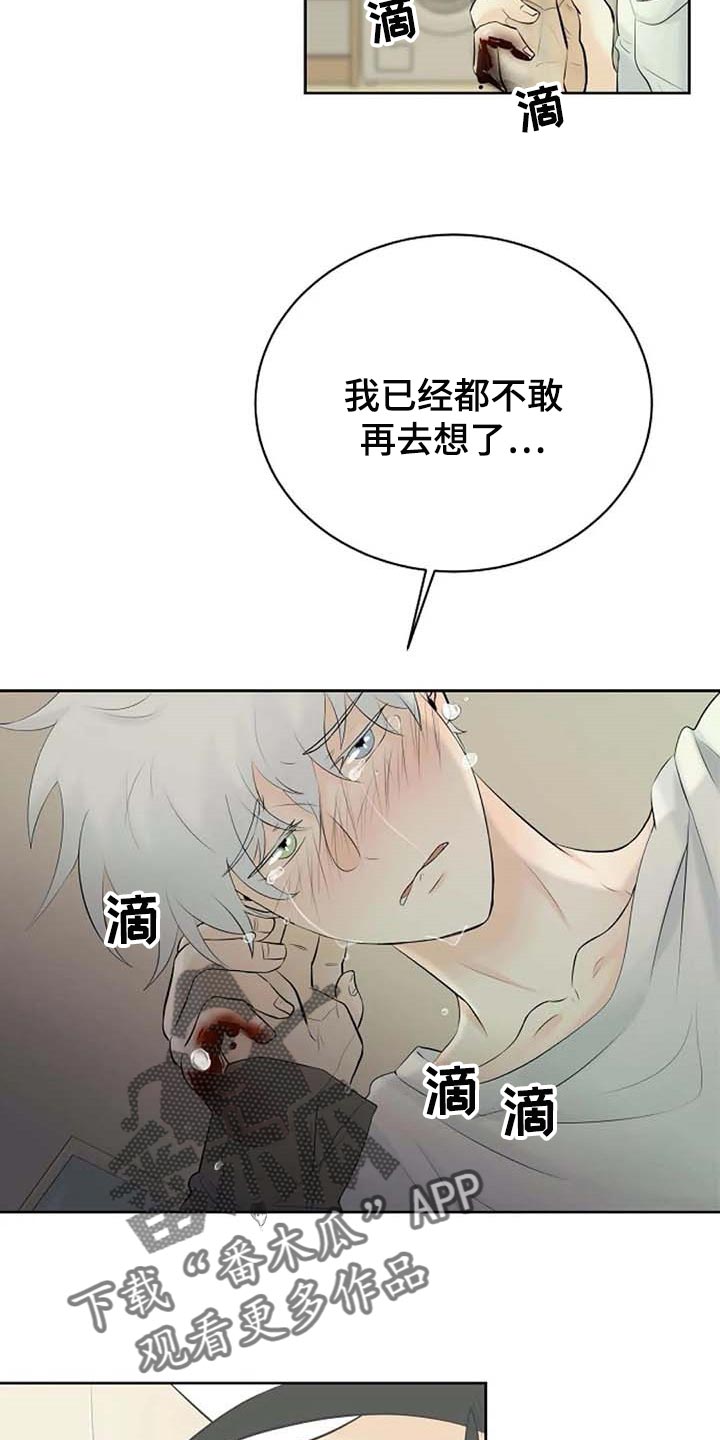 《贴身使者》漫画最新章节第55章：治疗免费下拉式在线观看章节第【16】张图片