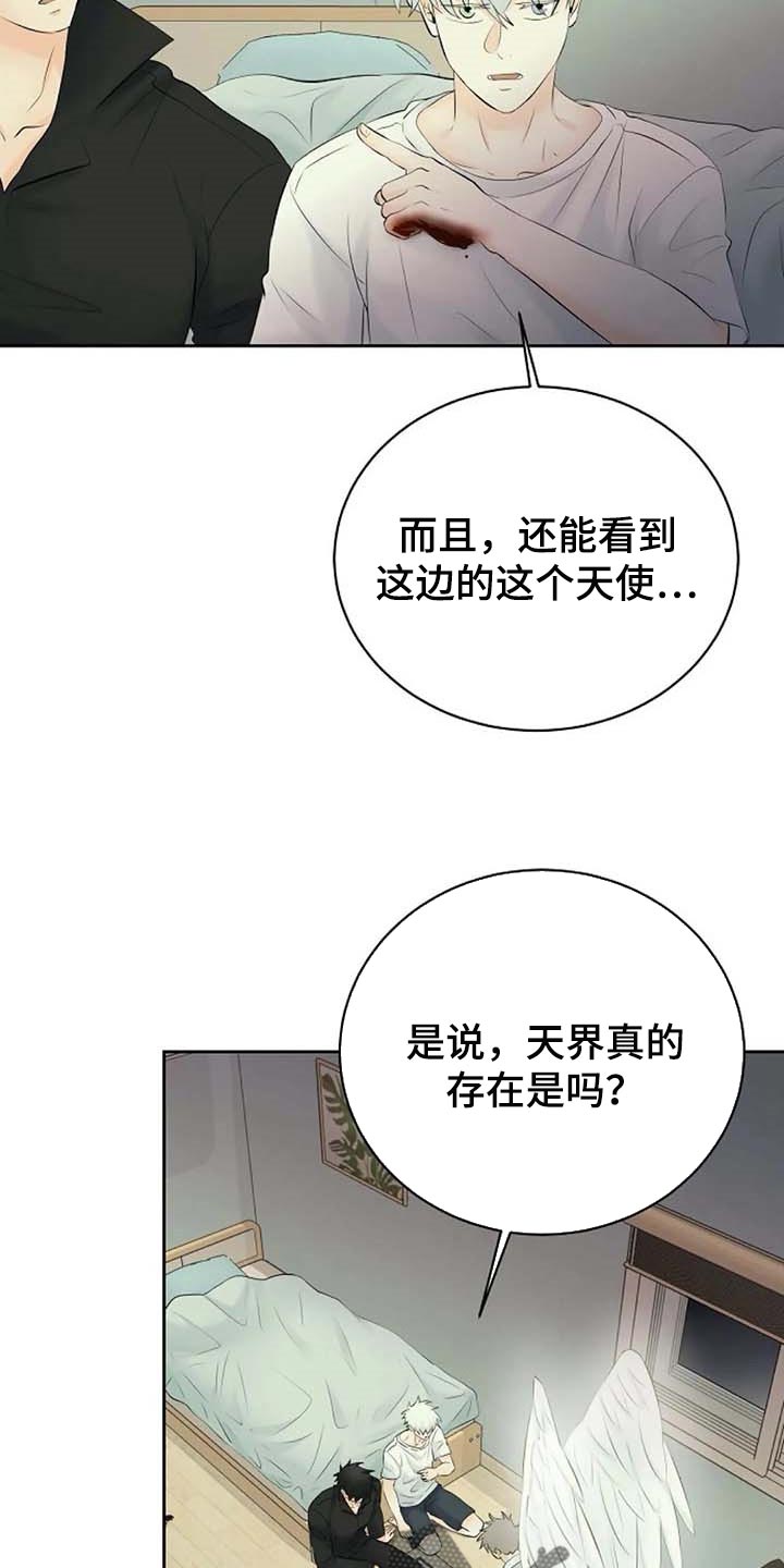 《贴身使者》漫画最新章节第56章：解释免费下拉式在线观看章节第【17】张图片