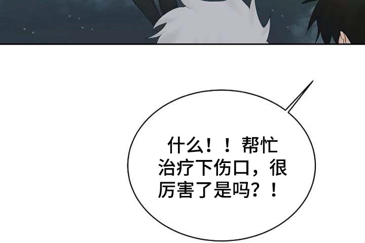 《贴身使者》漫画最新章节第59章：我的命在你手上免费下拉式在线观看章节第【17】张图片