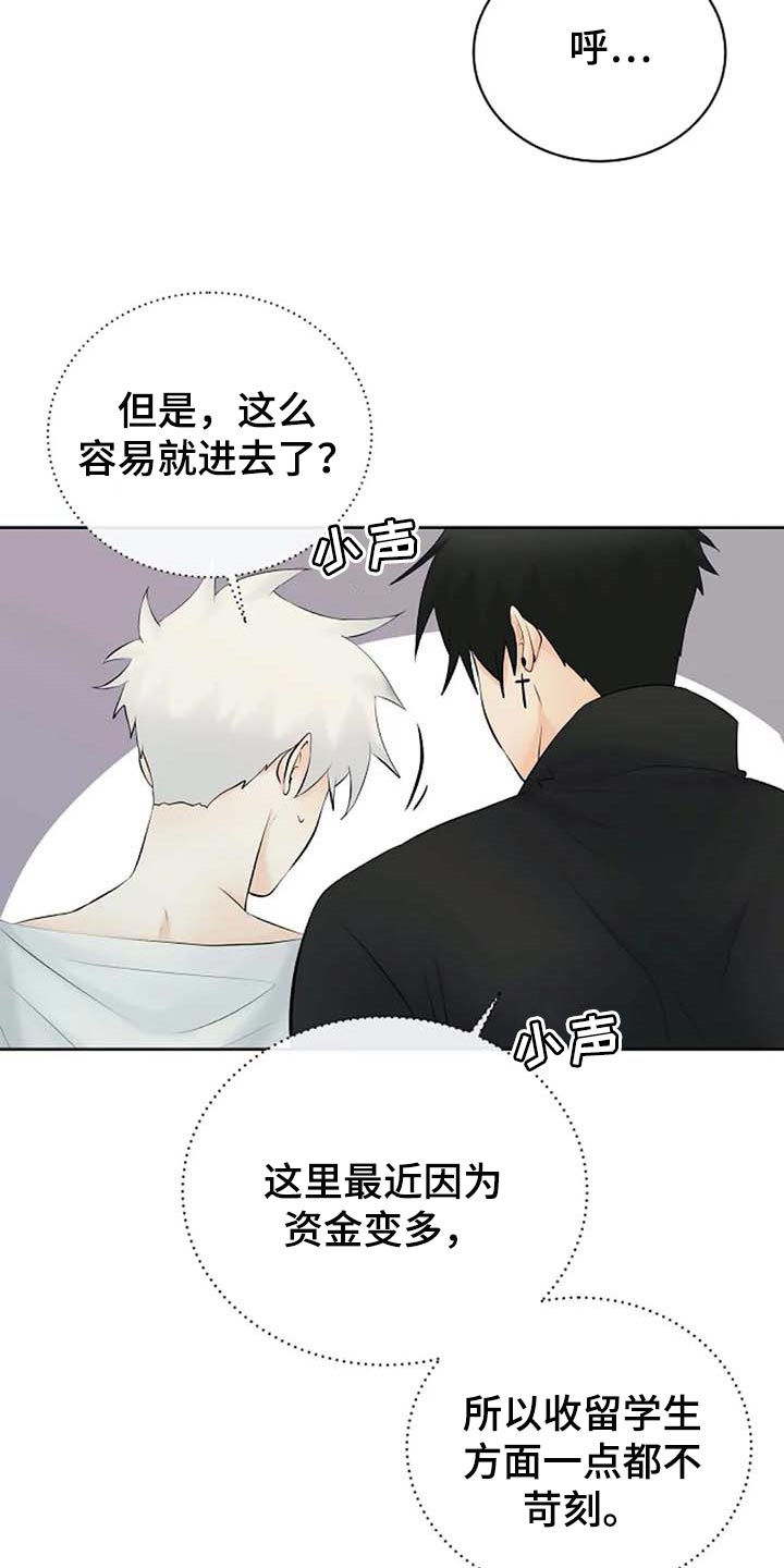 《贴身使者》漫画最新章节第60章：逮捕免费下拉式在线观看章节第【17】张图片