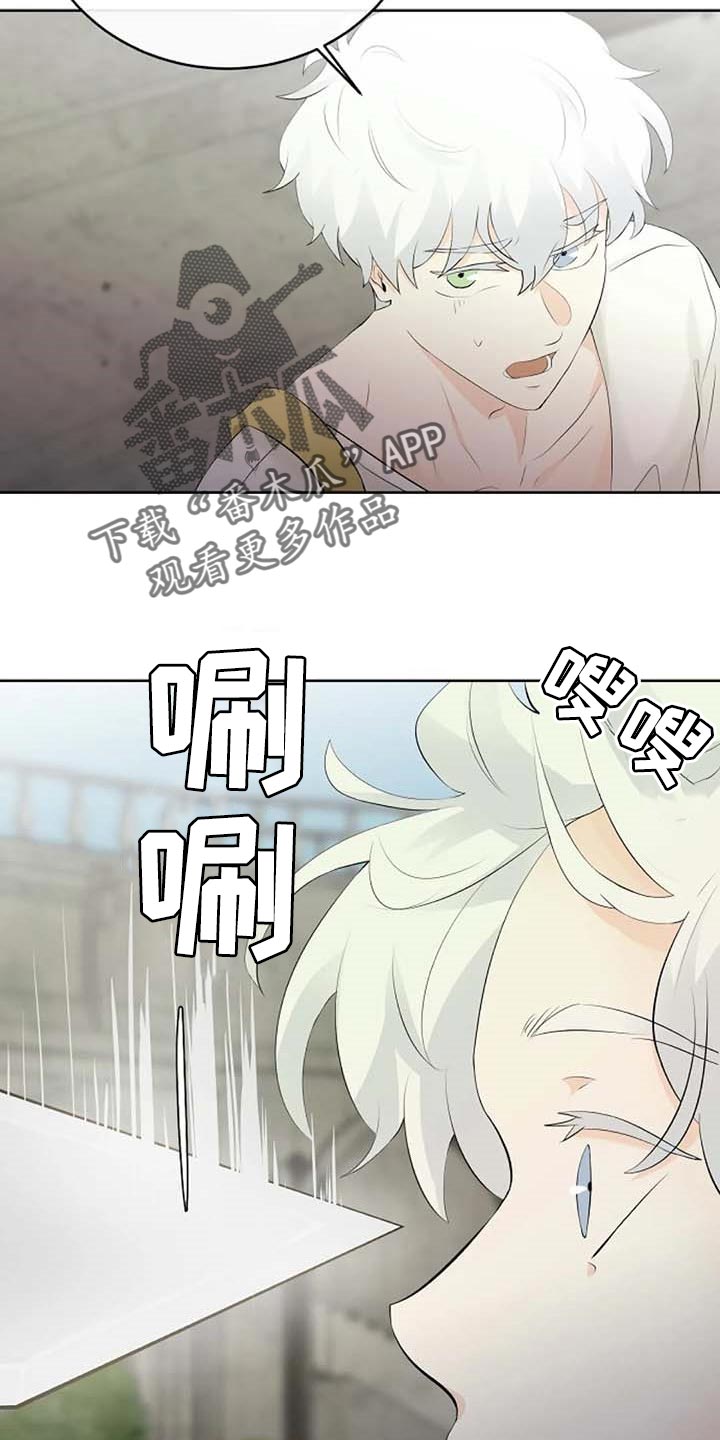 《贴身使者》漫画最新章节第65章：公私分明免费下拉式在线观看章节第【14】张图片