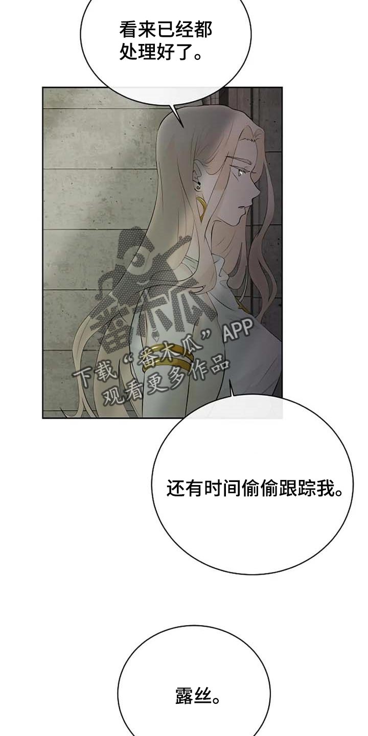 《贴身使者》漫画最新章节第65章：公私分明免费下拉式在线观看章节第【5】张图片