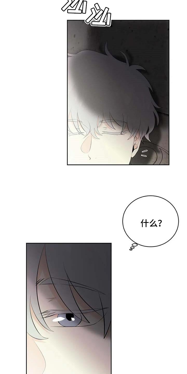 《贴身使者》漫画最新章节第66章：危险的人免费下拉式在线观看章节第【18】张图片