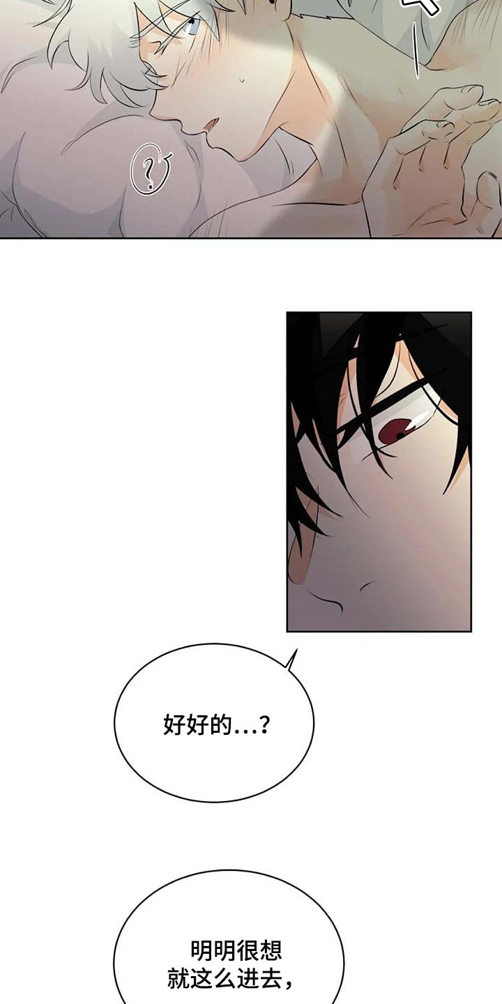 《贴身使者》漫画最新章节第69章：会有什么结果免费下拉式在线观看章节第【17】张图片