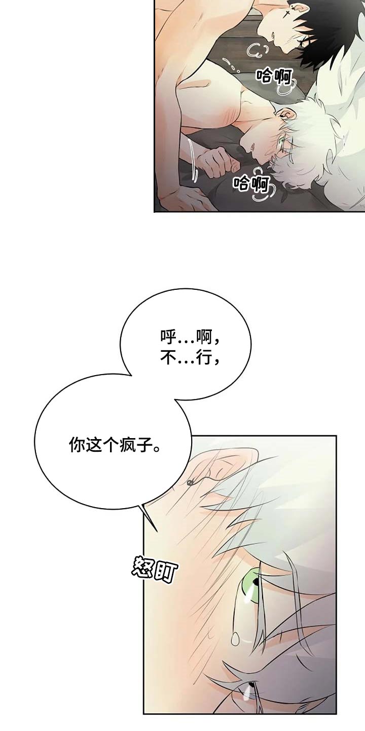 《贴身使者》漫画最新章节第69章：会有什么结果免费下拉式在线观看章节第【3】张图片