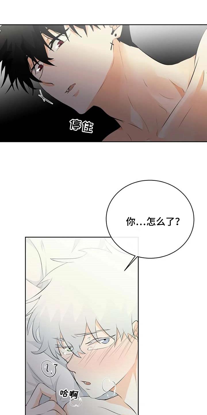 《贴身使者》漫画最新章节第69章：会有什么结果免费下拉式在线观看章节第【10】张图片