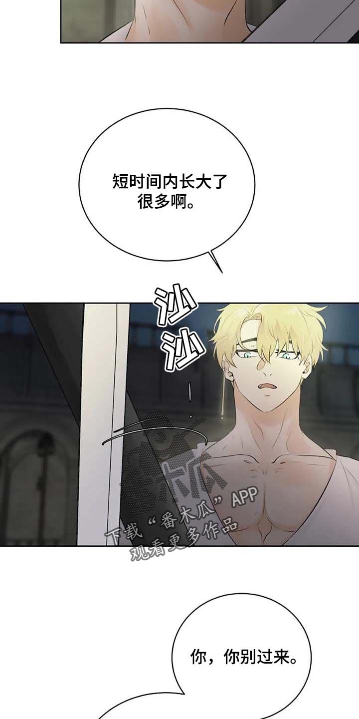 《贴身使者》漫画最新章节第71章：练练剑免费下拉式在线观看章节第【14】张图片