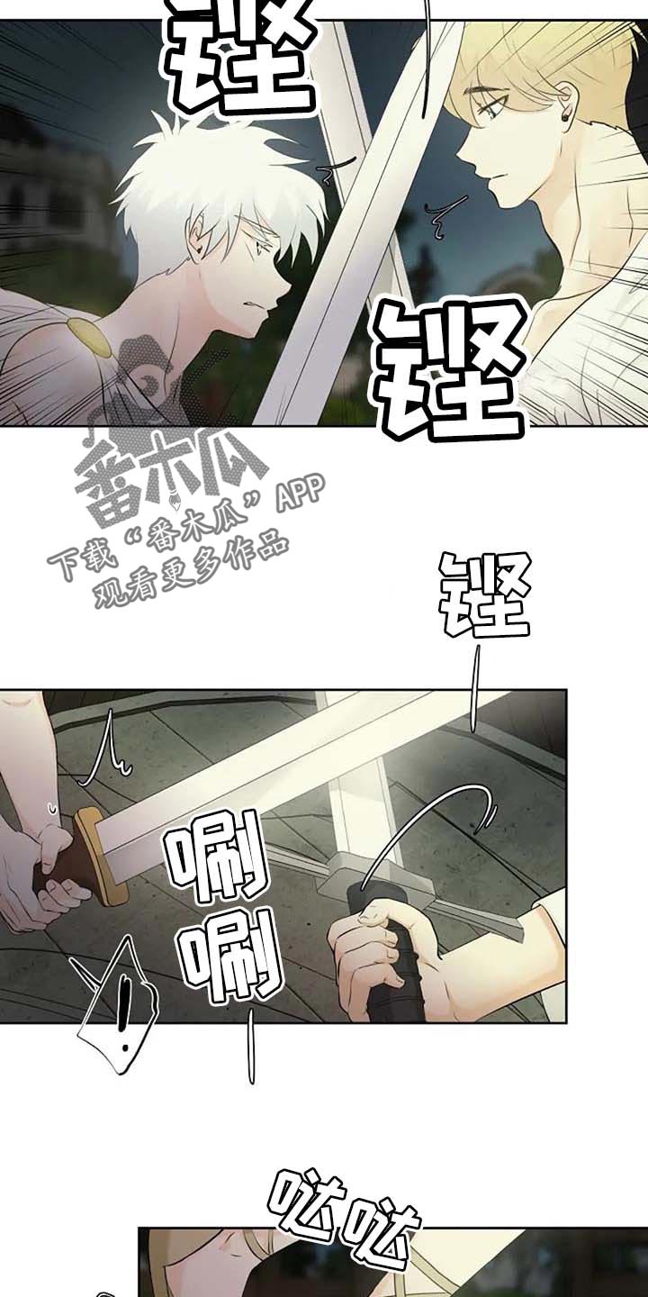 《贴身使者》漫画最新章节第71章：练练剑免费下拉式在线观看章节第【4】张图片