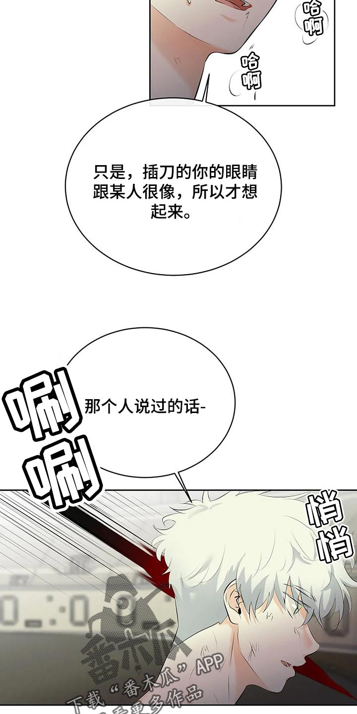 《贴身使者》漫画最新章节第73章：分出胜负免费下拉式在线观看章节第【3】张图片