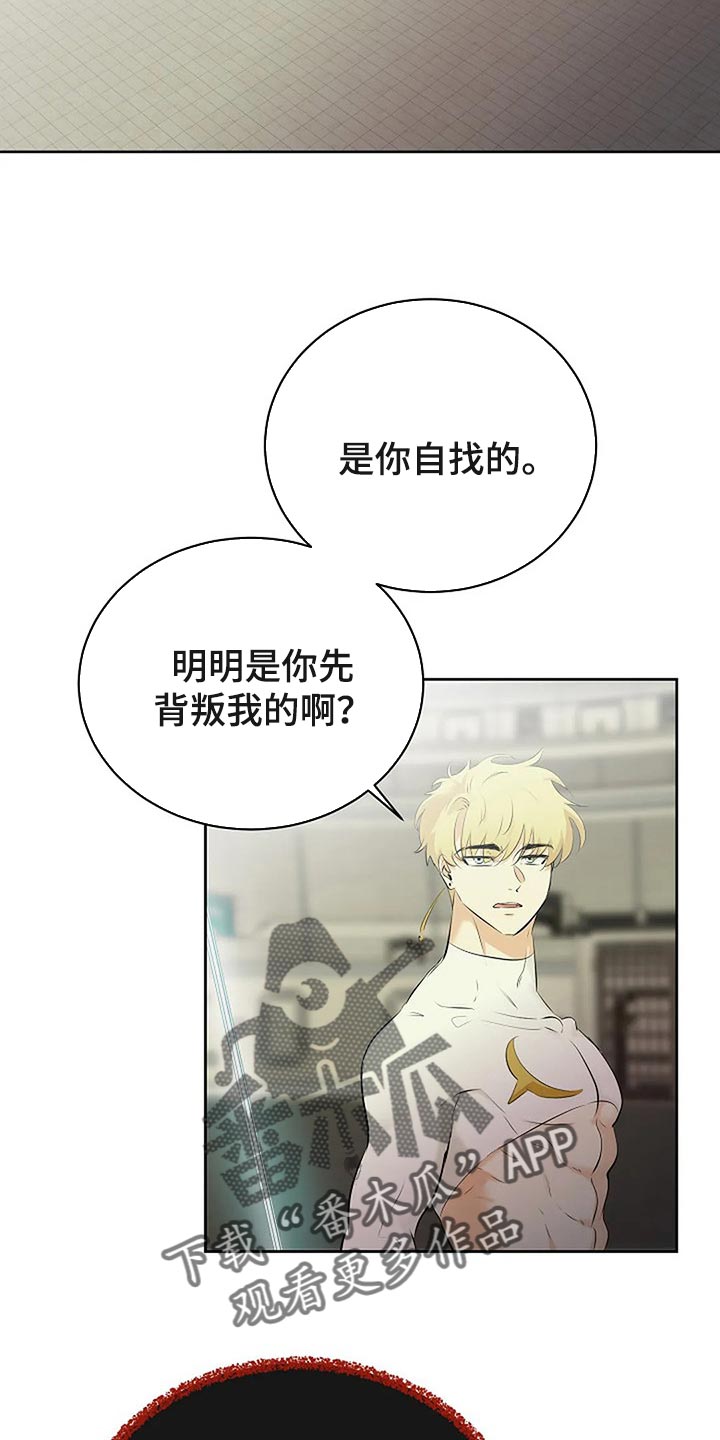 《贴身使者》漫画最新章节第75章：你先背叛的免费下拉式在线观看章节第【13】张图片