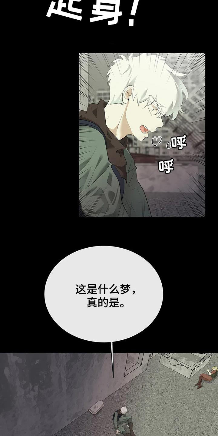 《贴身使者》漫画最新章节第80章：我们该走的路免费下拉式在线观看章节第【6】张图片