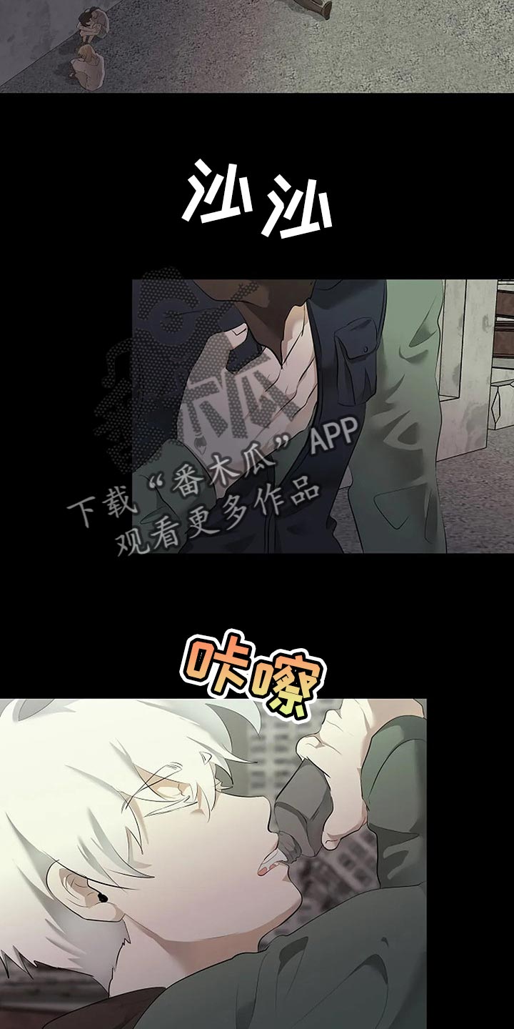 《贴身使者》漫画最新章节第80章：我们该走的路免费下拉式在线观看章节第【5】张图片