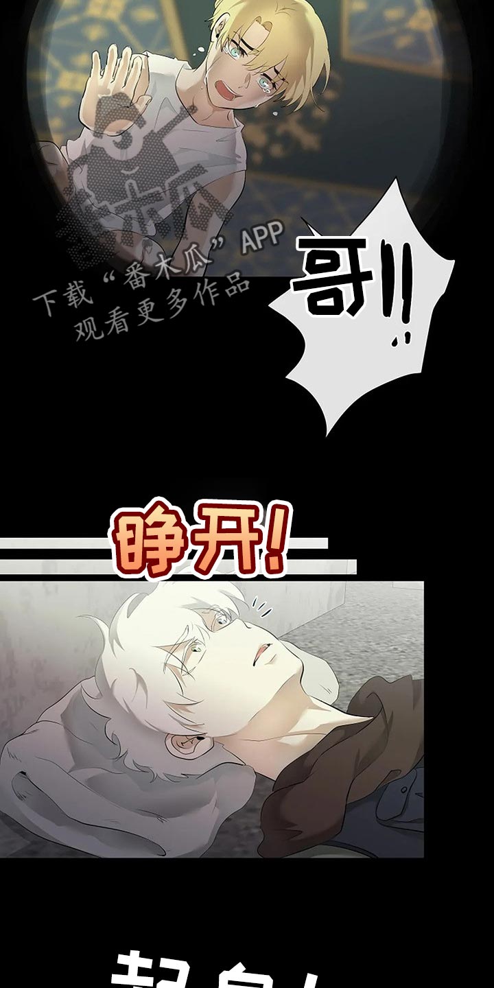 《贴身使者》漫画最新章节第80章：我们该走的路免费下拉式在线观看章节第【7】张图片