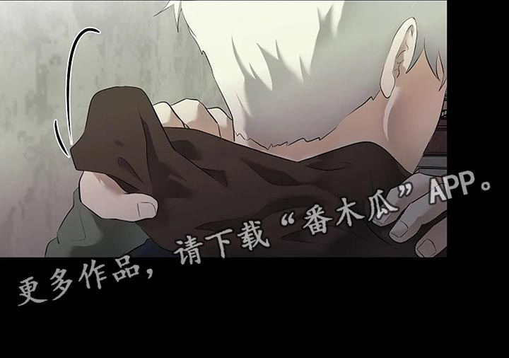 《贴身使者》漫画最新章节第80章：我们该走的路免费下拉式在线观看章节第【1】张图片