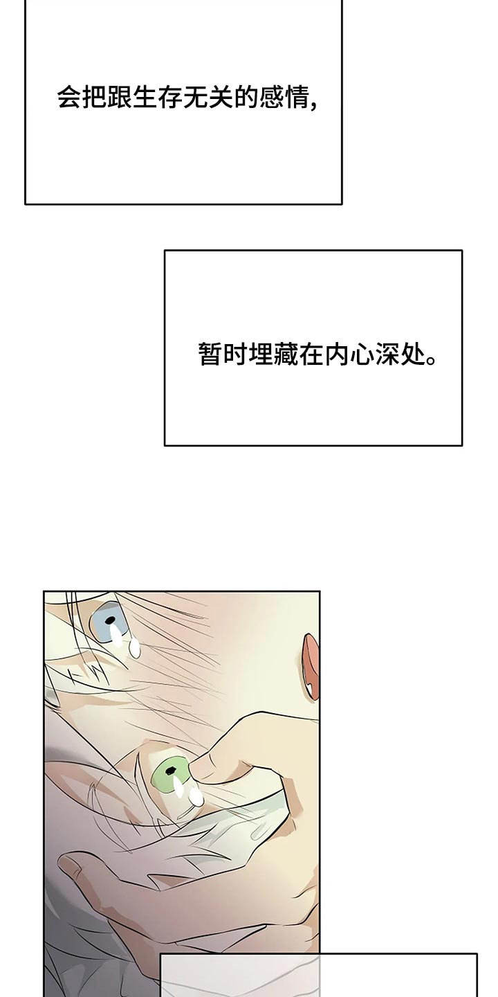 《贴身使者》漫画最新章节第86章：说好了免费下拉式在线观看章节第【5】张图片