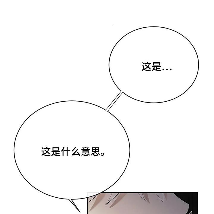 《贴身使者》漫画最新章节第89章：奇怪的地方免费下拉式在线观看章节第【32】张图片