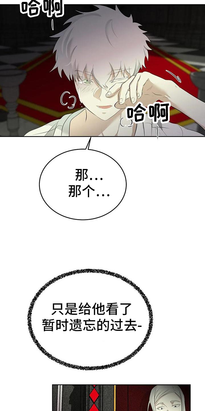 《贴身使者》漫画最新章节第95章：复仇免费下拉式在线观看章节第【13】张图片