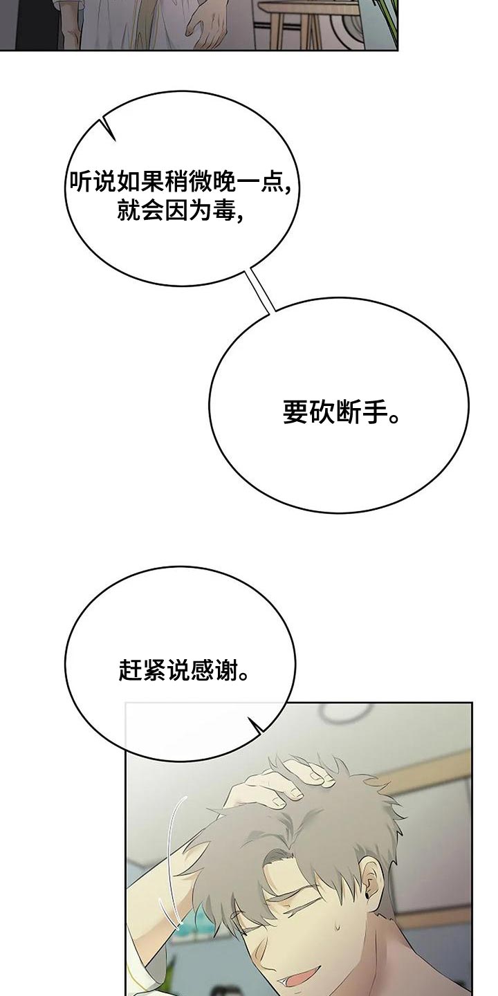 《贴身使者》漫画最新章节第97章：和解免费下拉式在线观看章节第【17】张图片