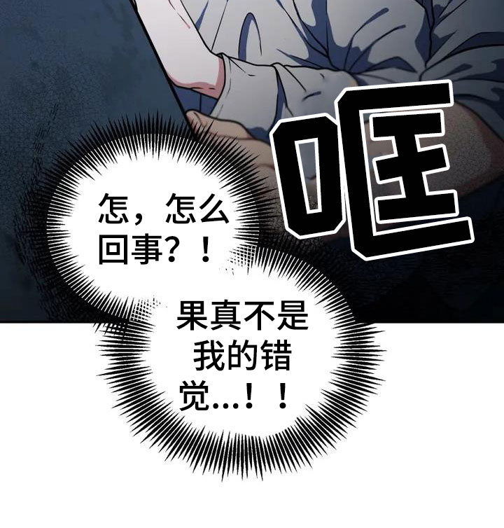 《共犯假象》漫画最新章节第2章：被袭击免费下拉式在线观看章节第【1】张图片