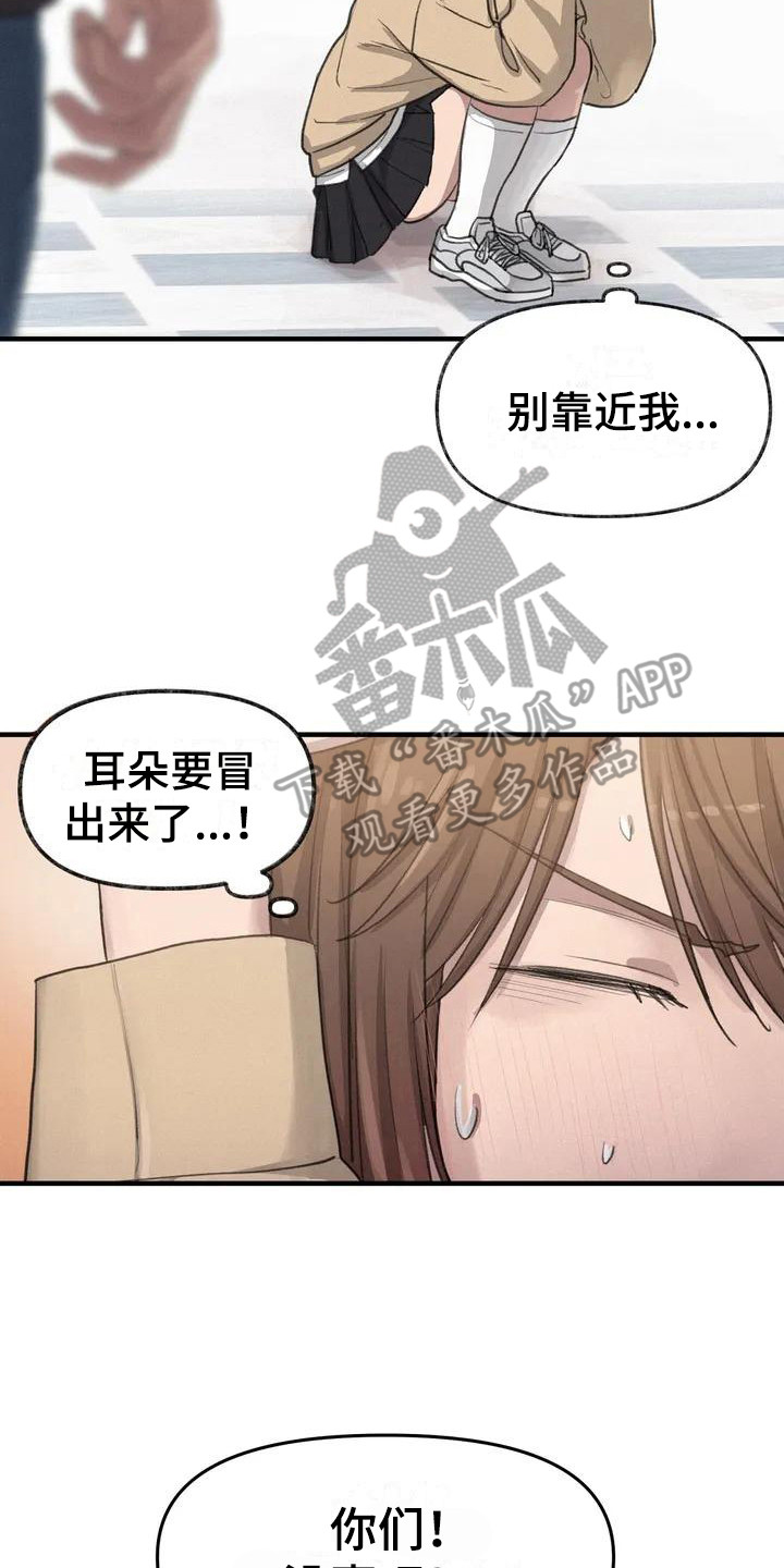 《狐狸灵珠》漫画最新章节第12章：表白免费下拉式在线观看章节第【6】张图片