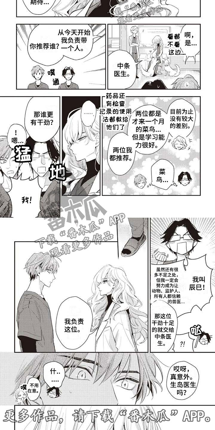 《游戏重启》漫画最新章节第20章：生岛医生免费下拉式在线观看章节第【2】张图片