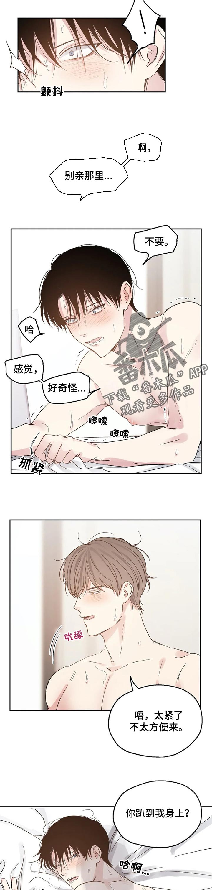 《爱情赌注》漫画最新章节第27章：只是爱好免费下拉式在线观看章节第【7】张图片