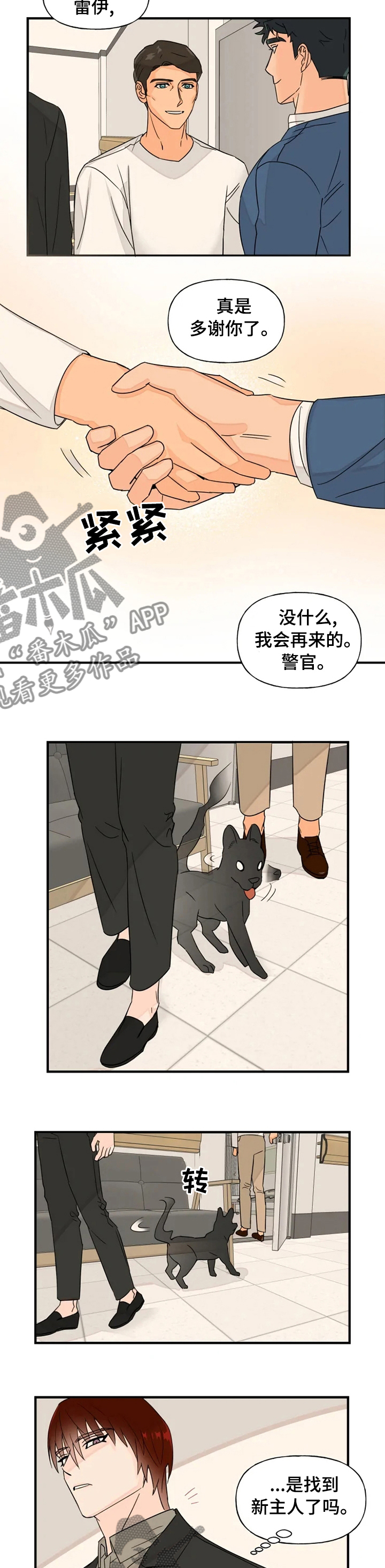 《雷伊的选择》漫画最新章节第37章：算是件好事吧免费下拉式在线观看章节第【6】张图片